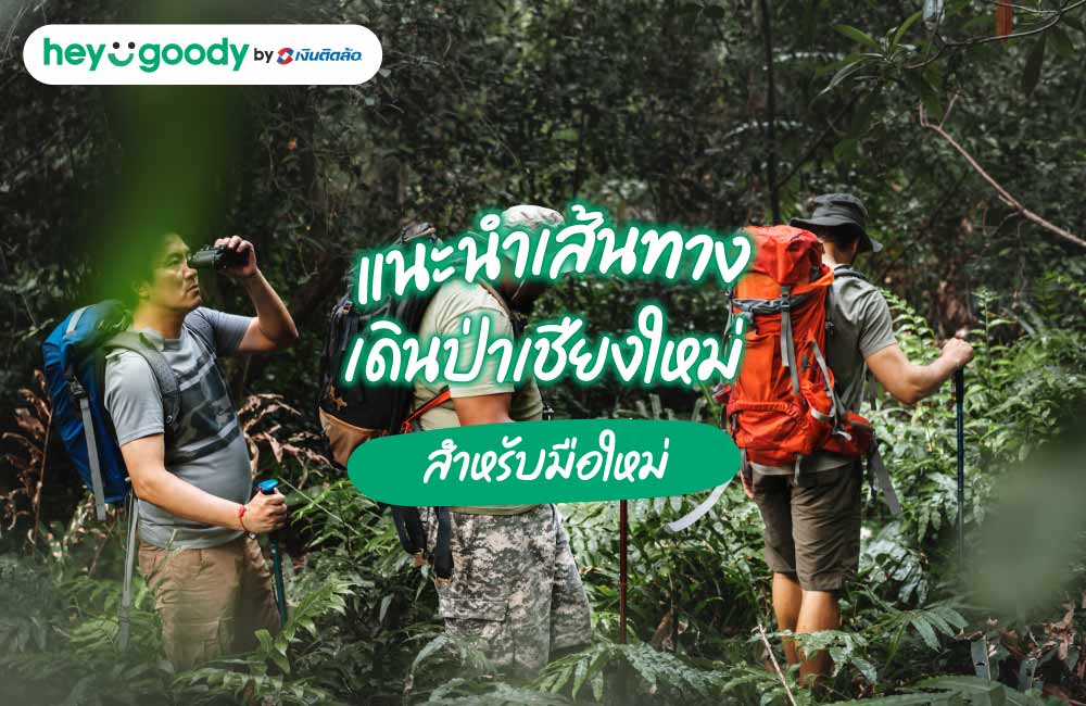 แนะนำเส้นทางเดินป่าเชียงใหม่สำหรับมือใหม่