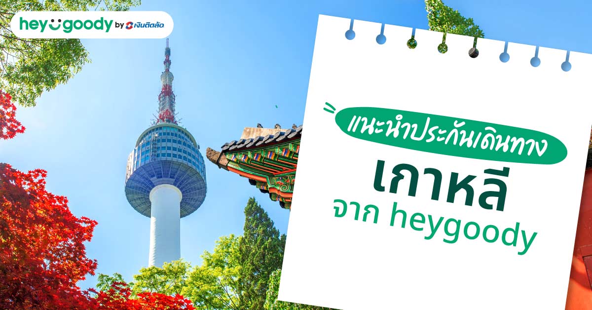 แนะนำประกันเดินทางเกาหลีจาก heygoody
