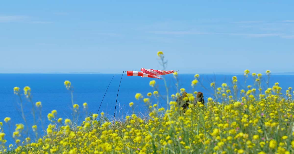 Jeju Island